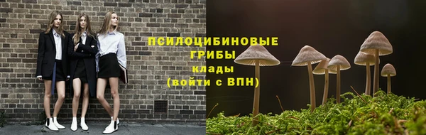 apvp Аркадак