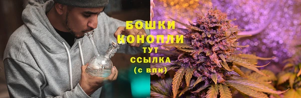mdpv Приозерск