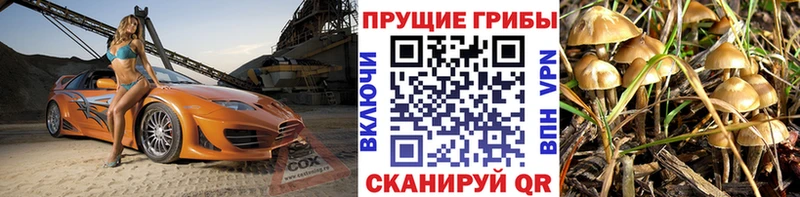 Псилоцибиновые грибы GOLDEN TEACHER Сасово